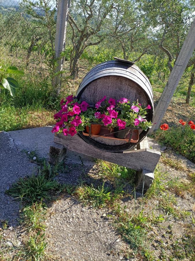 Agriturismo Macchia Dei Briganti - B&B Montefalcione Екстер'єр фото