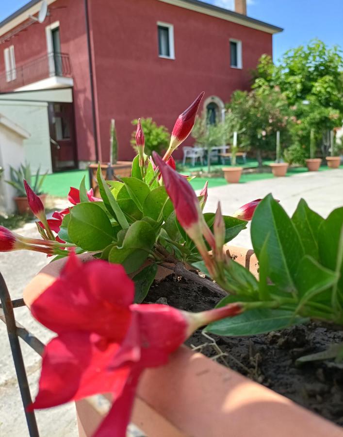 Agriturismo Macchia Dei Briganti - B&B Montefalcione Екстер'єр фото